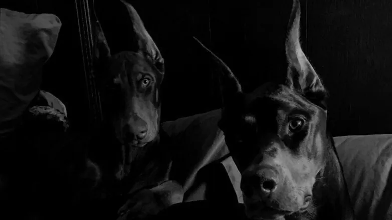 OnlyFans cuenta anxenamuna header 2