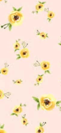 OnlyFans cuenta thatonebrunettebabe header 2