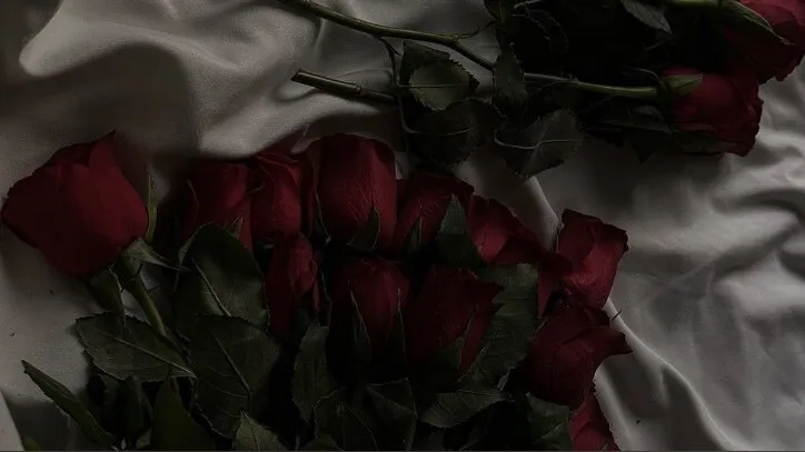 OnlyFans cuenta itskamcia header 2