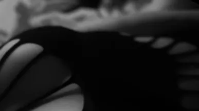 OnlyFans account  lickmy_rose header 2