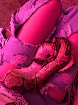 OnlyFans account  strawberrypython header 2