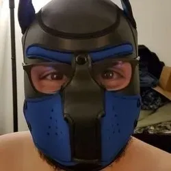 OnlyFans cuenta pupgrey1998 avatar 1