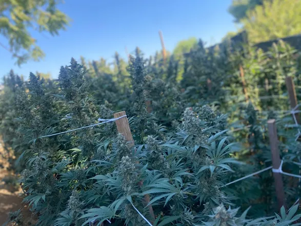 OnlyFans cuenta flirtzz header 2