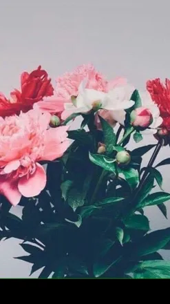OnlyFans cuenta nathalieglezo header 2