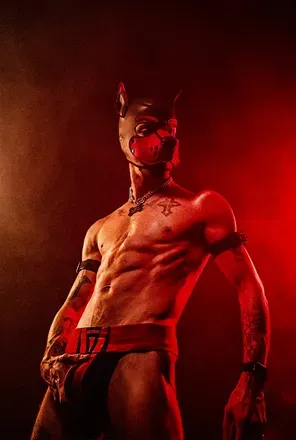 OnlyFans cuenta puppixelnyc avatar 1