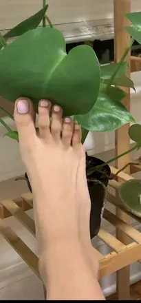 OnlyFans cuenta angeltoesbb avatar 1