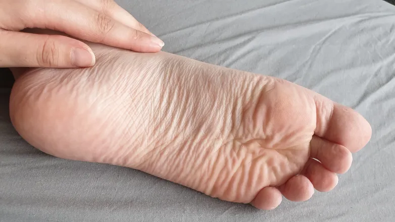 OnlyFans cuenta northerntoesies header 2