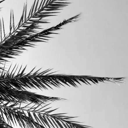 OnlyFans cuenta misterspade header 2