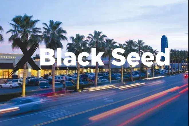 OnlyFans cuenta blackseedxxx header 1