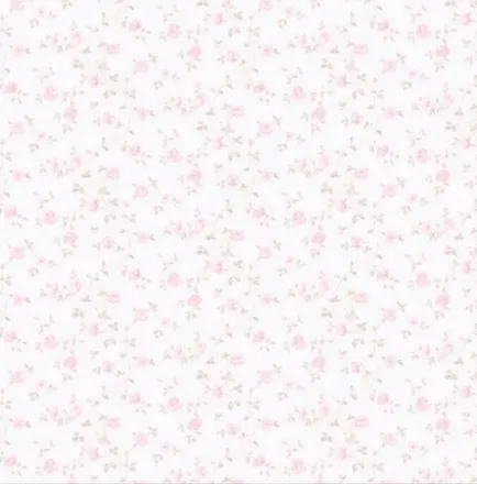 OnlyFans cuenta dream4isa header 2