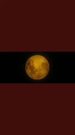 OnlyFans cuenta bellafromtwilight header 2
