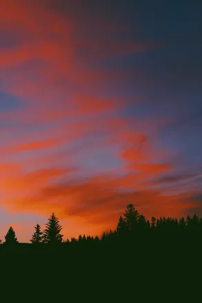 OnlyFans account  lanaphillips header 2