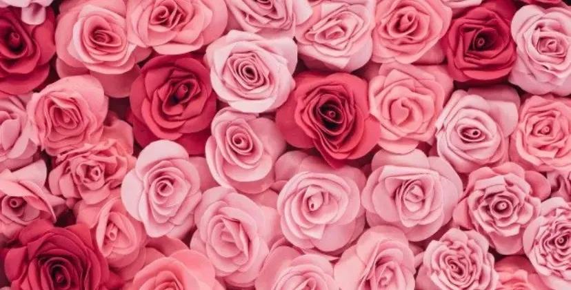 OnlyFans cuenta rosyloves header 2