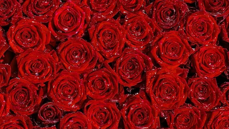 OnlyFans cuenta destinyetaylor header 2