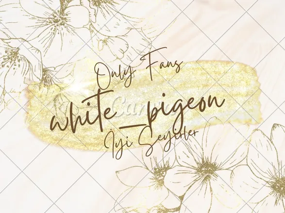 OnlyFans cuenta white_pigeon header 2