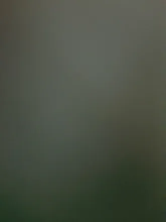 OnlyFans cuenta vanessa.krug header 2