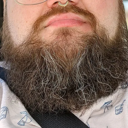 OnlyFans account  beardliness header 2