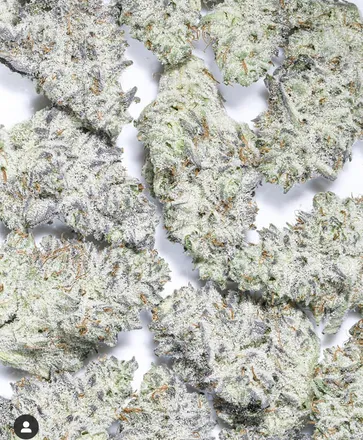OnlyFans cuenta danktastic header 2