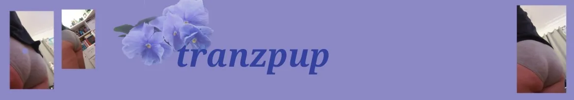 OnlyFans account  tranzpup header 2