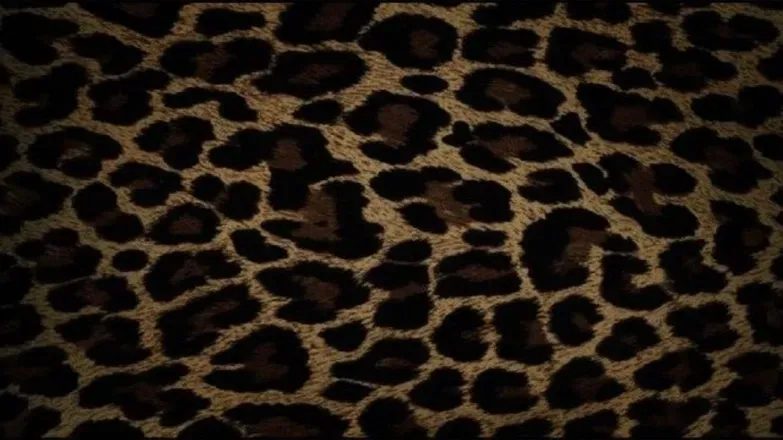 OnlyFans cuenta leonalionheart7 header 2