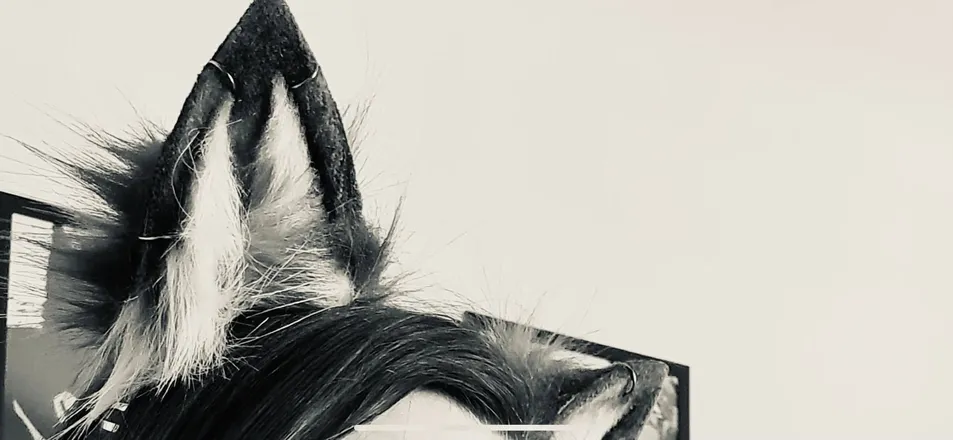 OnlyFans cuenta foxgirly738 header 2