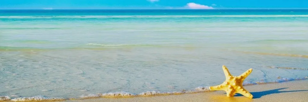 OnlyFans cuenta mikimoon330 header 2