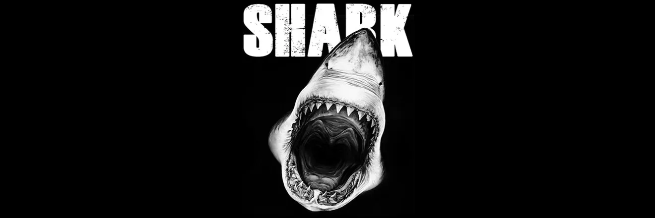 OnlyFans cuenta shark_designer header 2