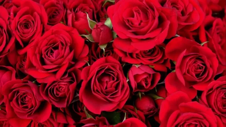 OnlyFans cuenta lustandlove22 header 2