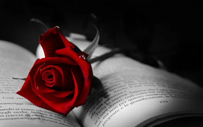 OnlyFans cuenta buried_roses avatar 1