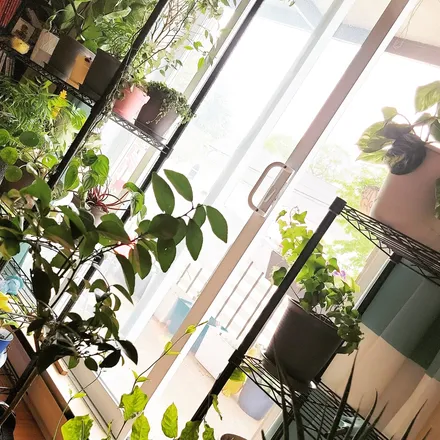 OnlyFans cuenta thatbalconyboy header 2