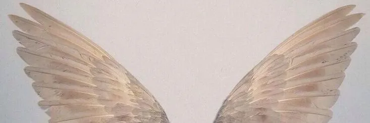 OnlyFans cuenta goldenangel5678 header 2