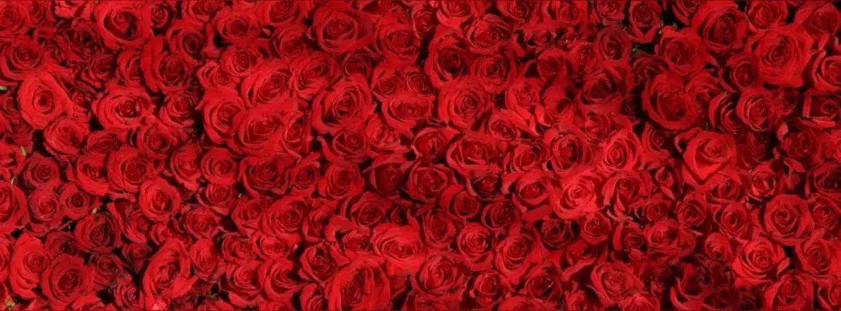 OnlyFans cuenta belubelu89 header 2