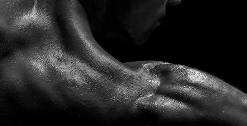 OnlyFans cuenta berlin.roma.42 header 2