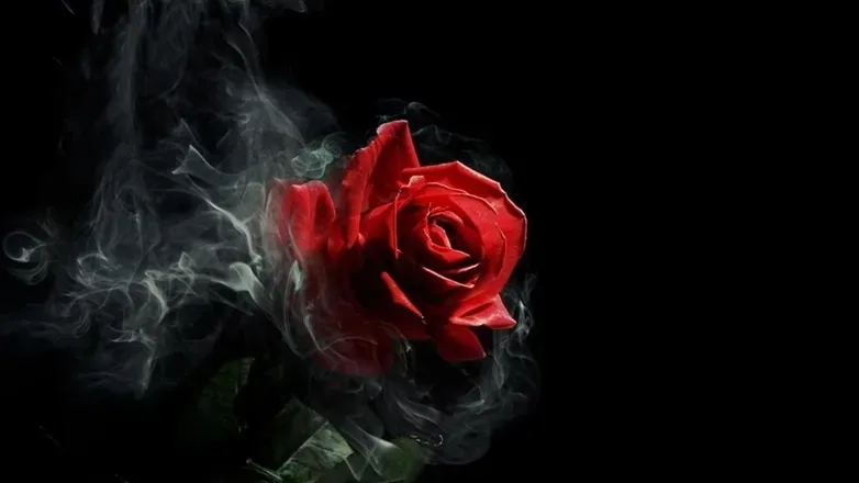 OnlyFans cuenta scarlet_skellie header 2