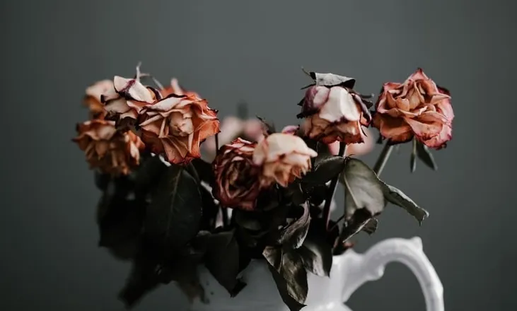 OnlyFans cuenta persephonelydia header 2