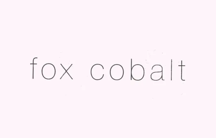OnlyFans cuenta fox_cobalt header 2