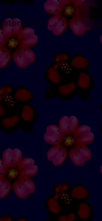 OnlyFans cuenta bazmin header 2