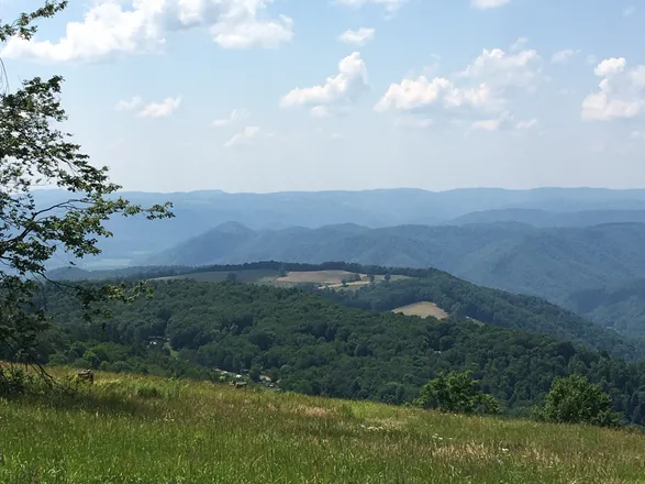 OnlyFans cuenta gratefully_undead header 2