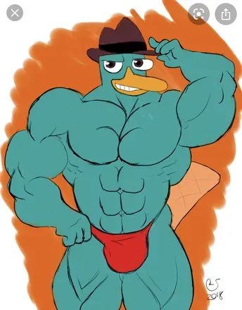 OnlyFans account  savage_platypus header 2