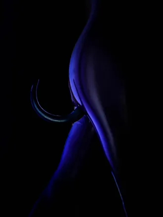 OnlyFans cuenta chiennoir header 2