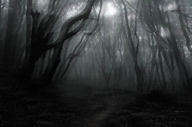 OnlyFans cuenta condemnedghouls header 2