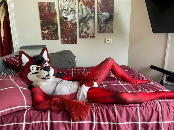 OnlyFans cuenta wolf_ezo header 2