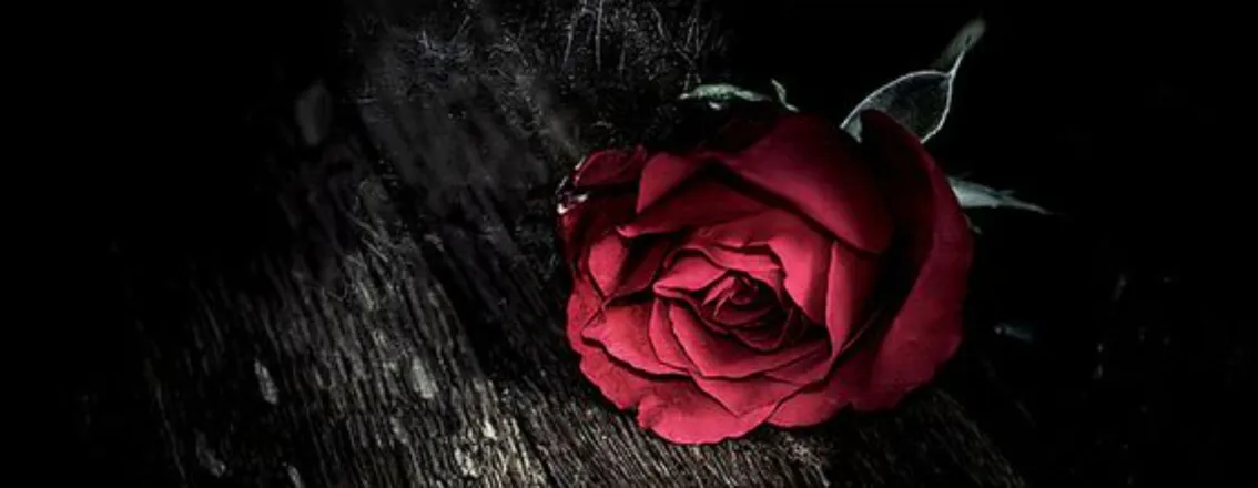 OnlyFans cuenta sinning_siren header 2