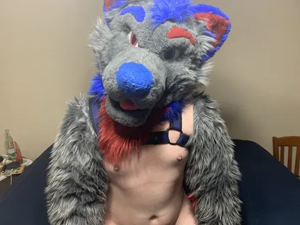 OnlyFans cuenta konradthewolf avatar 1