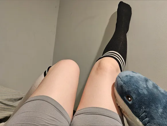 OnlyFans cuenta bleuchikbabe header 2