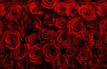 OnlyFans cuenta goddesserisdivine header 2