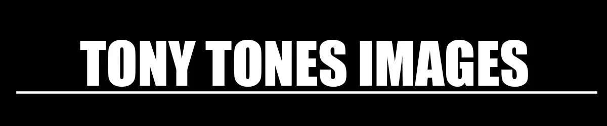 OnlyFans account  tonytones header 2