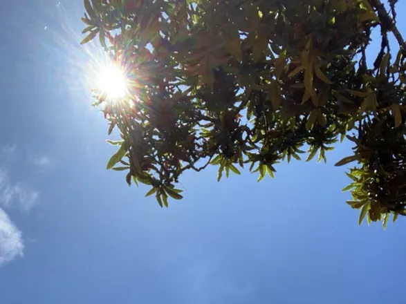 OnlyFans cuenta maisho__ header 2