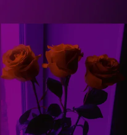 OnlyFans cuenta spicycharxx header 2