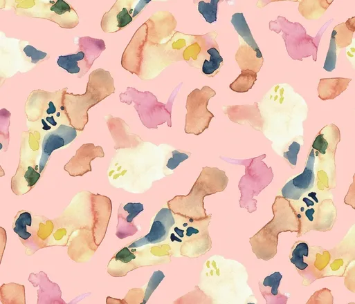 OnlyFans cuenta jyeezusrae header 2